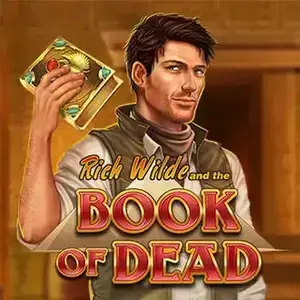 Big win on Book of Dead at Midnight Casino